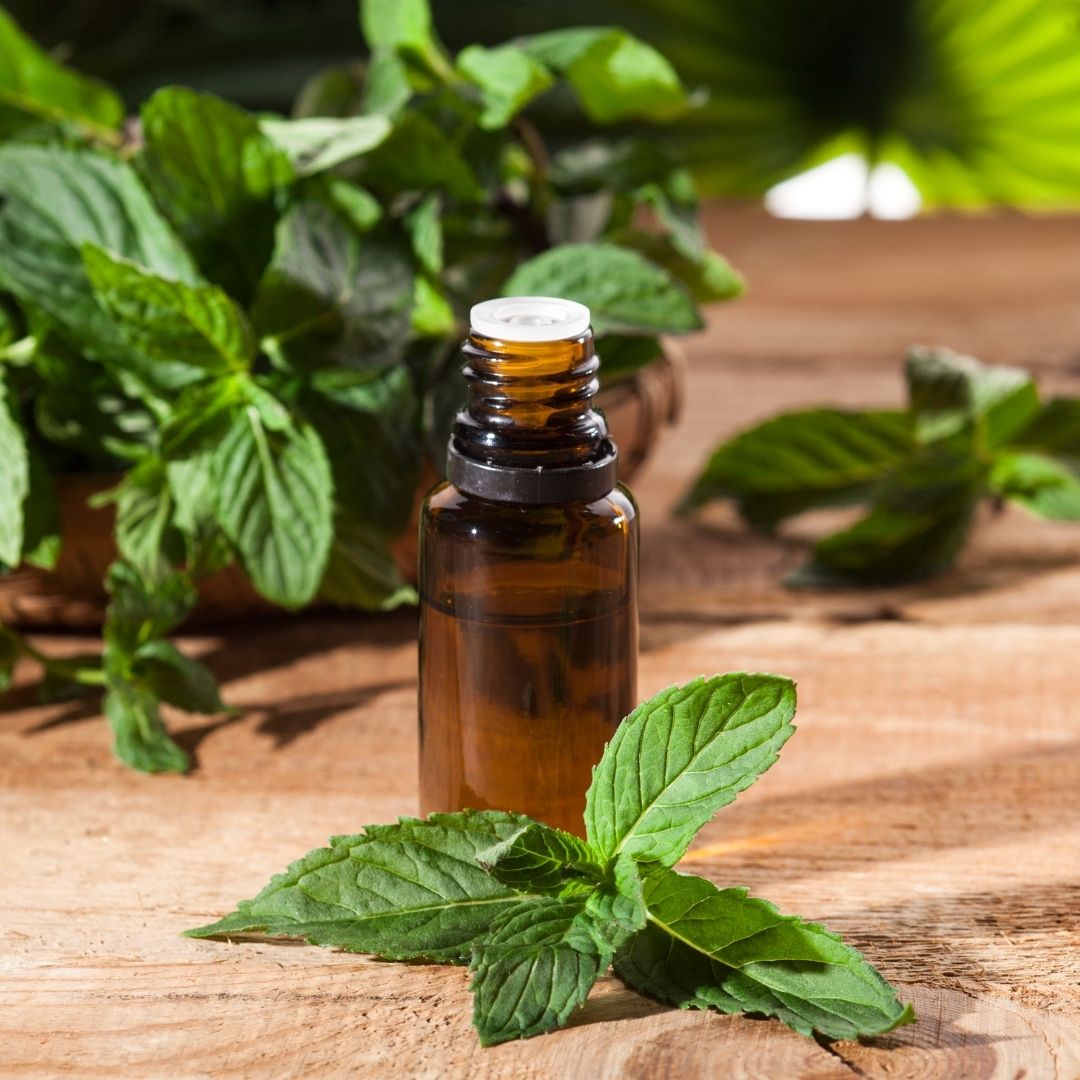 Peppermint Essential Oil